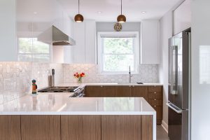 Renovation Ottawa Kitchen